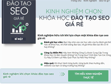 Tablet Screenshot of daotaoseohanoi.com